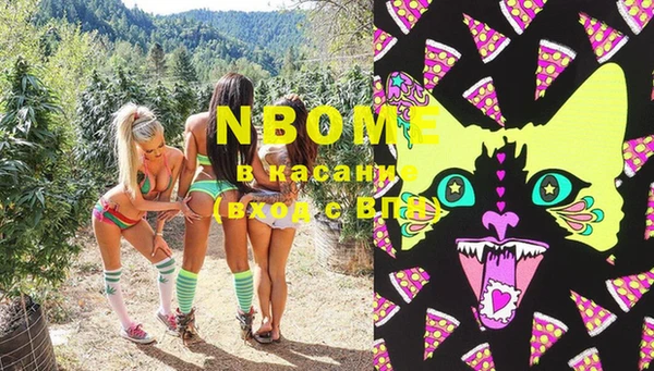 ешки Пересвет