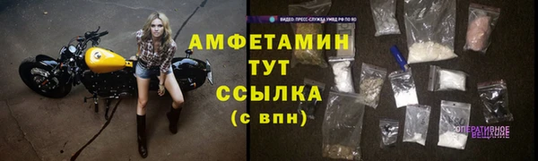 ешки Пересвет