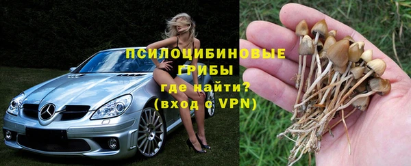 ешки Пересвет