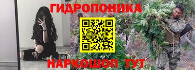 стаф Севастополь