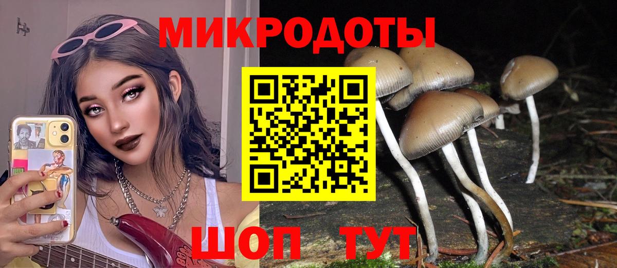Галлюциногенные грибы Cubensis  Вход с VPN  Псилоцибиновые грибы мухоморы  Фрязино 